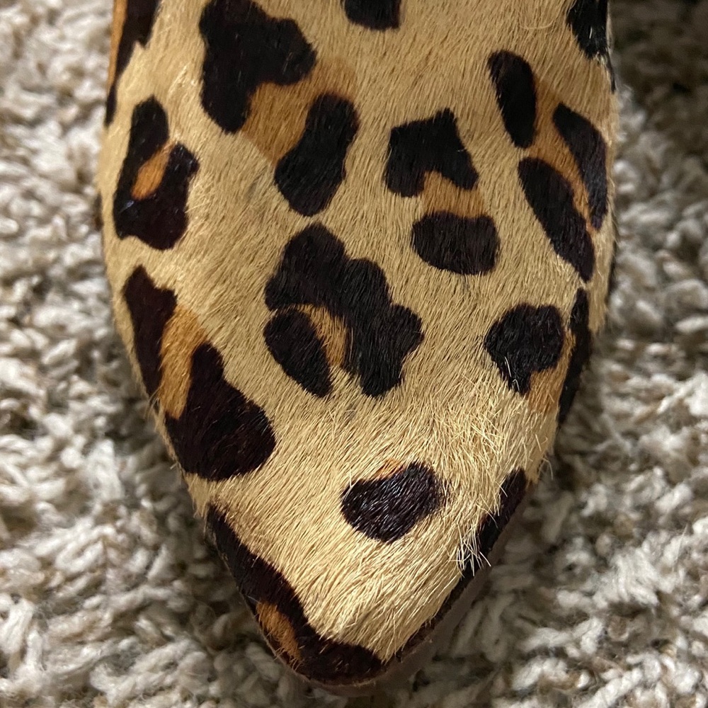 Steve Madden Ladd Cow Hair Cheetah Print Booties - Picture 14 of 16